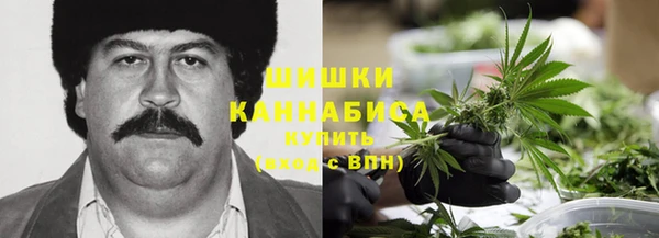 индика Горно-Алтайск