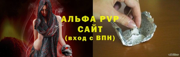 индика Горно-Алтайск