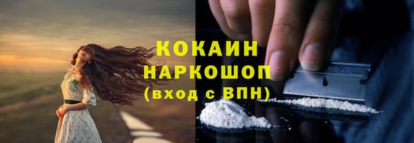 индика Горно-Алтайск