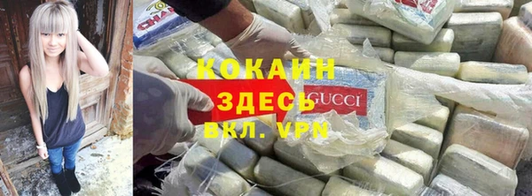индика Горно-Алтайск